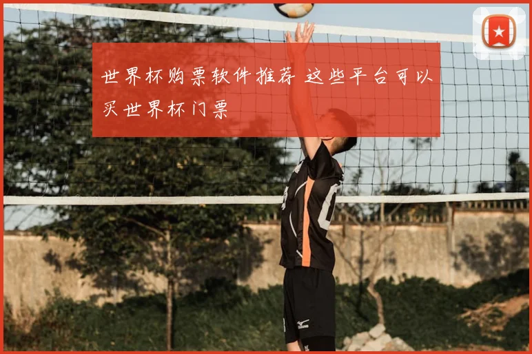 世界杯购票软件推荐 这些平台可以买世界杯门票