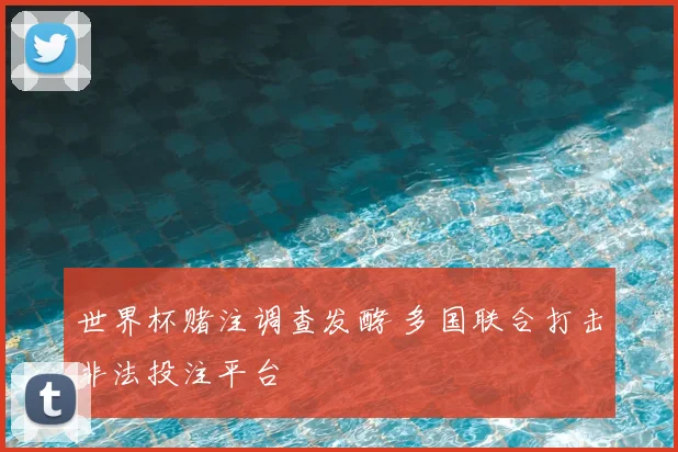 世界杯赌注调查发酵 多国联合打击非法投注平台