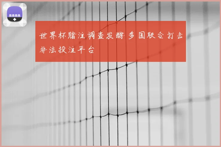 世界杯赌注调查发酵 多国联合打击非法投注平台