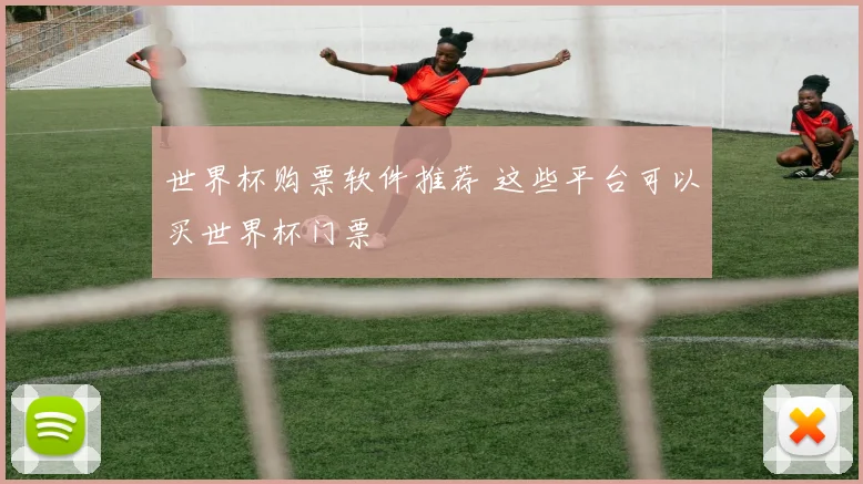 世界杯购票软件推荐 这些平台可以买世界杯门票