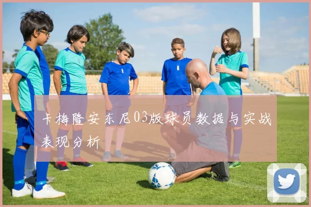 卡梅隆安东尼03版球员数据与实战表现分析