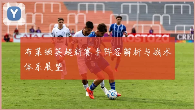 布莱顿英超新赛季阵容解析与战术体系展望