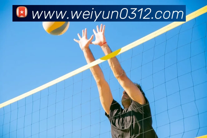 彩神(中国官方网站)官方服务中心发展历程